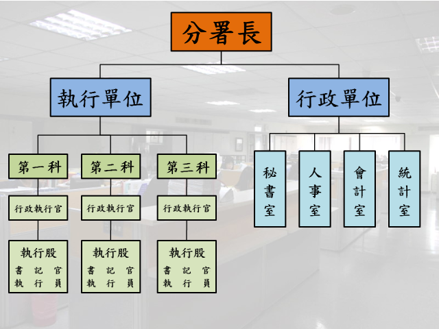 組織圖